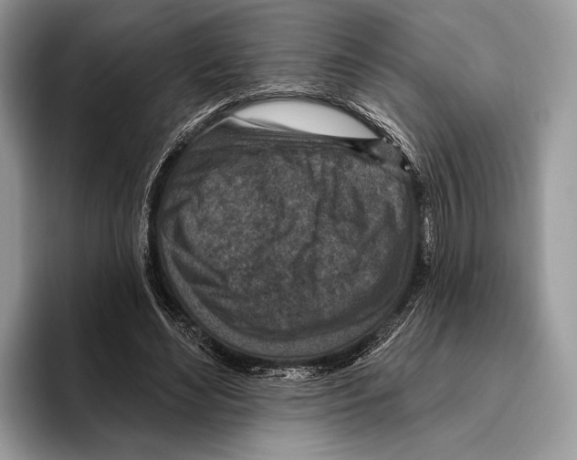 X0000095960492200802081320