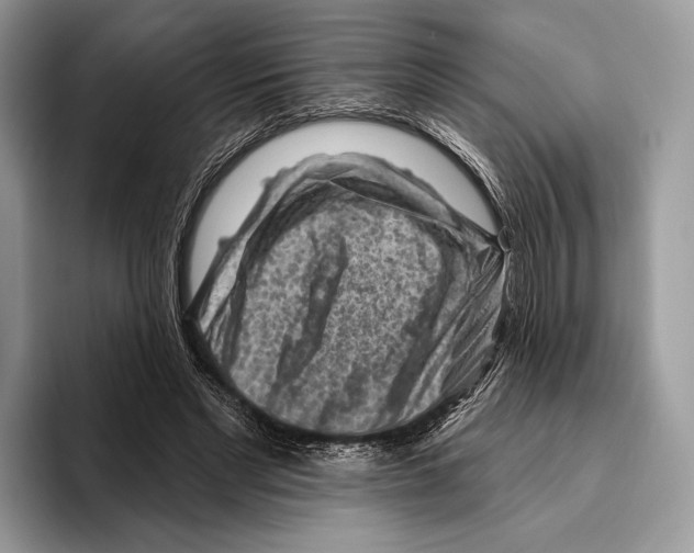 X0000095960493200802081320