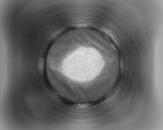 X0000095960495200802081320