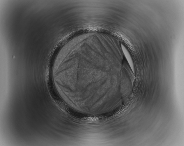X0000095960496200802081320