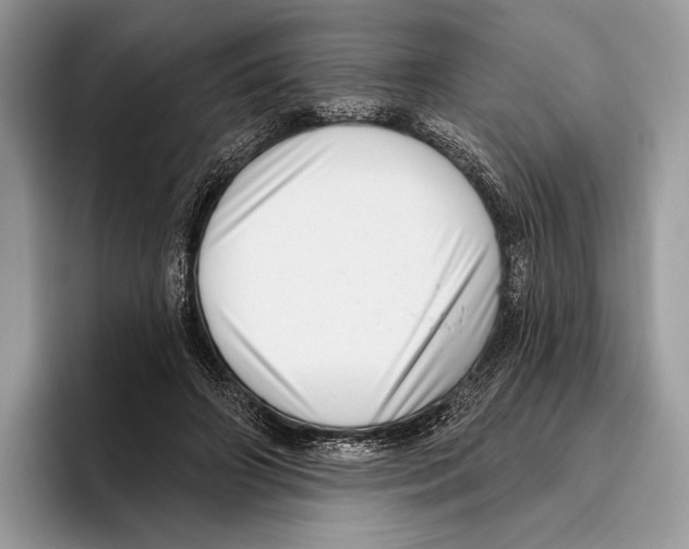 X0000095960498200802081320