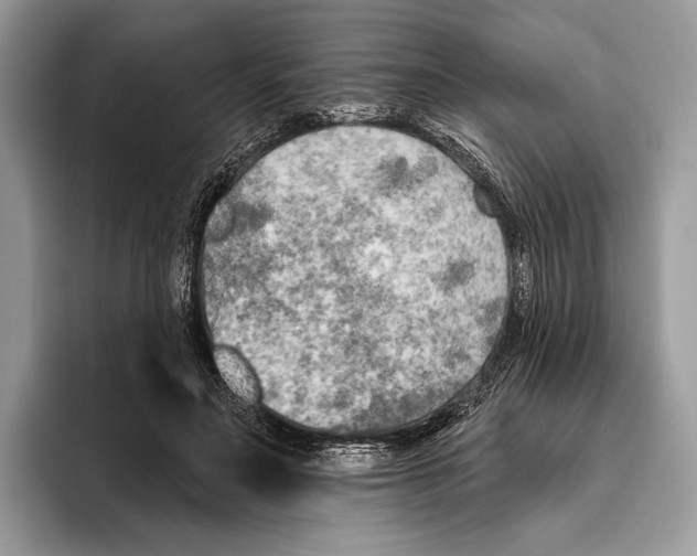 X0000095960499200802081320