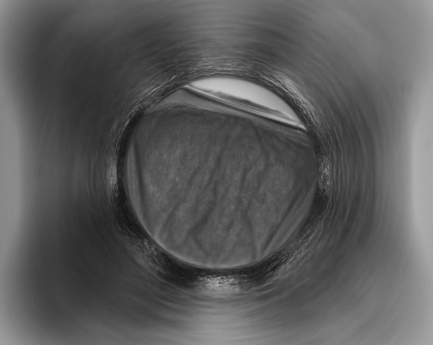 X0000095960500200802081320