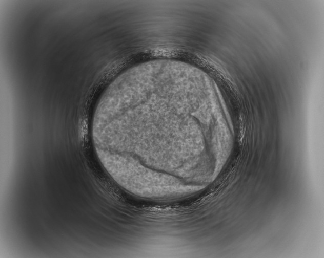 X0000095960502200802081320