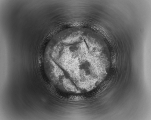 X0000095960503200802081320