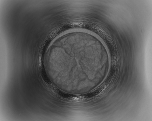 X0000095960504200802081320
