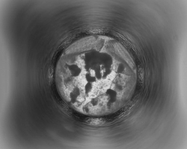 X0000095960507200802081320