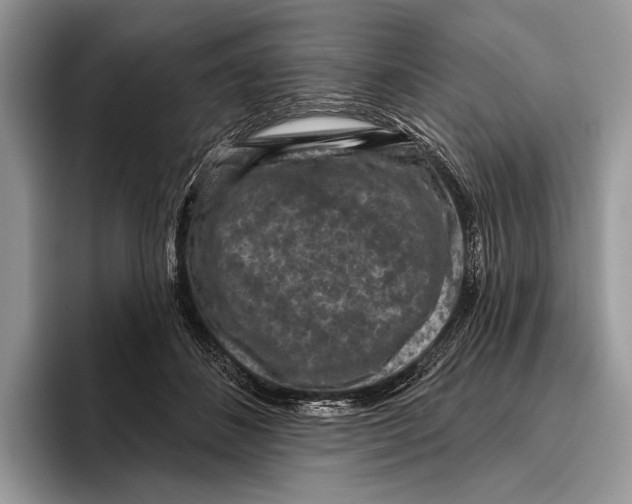 X0000095960508200802081320