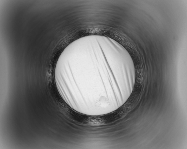 X0000095960510200802081320