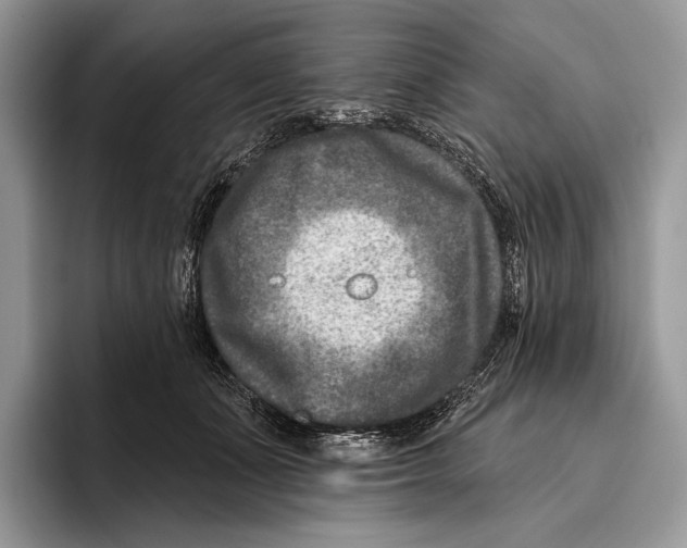 X0000095960511200802081320