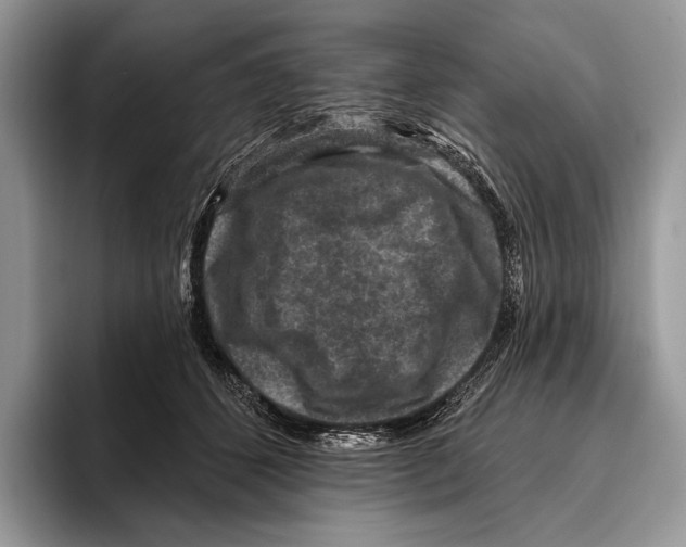 X0000095960512200802081320
