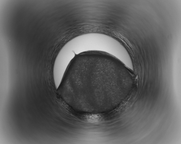 X0000095960513200802081320