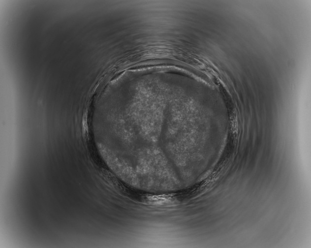 X0000095960516200802081320