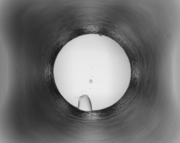 X0000095960518200802081320