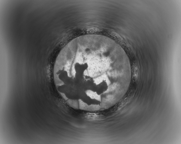 X0000095960519200802081320