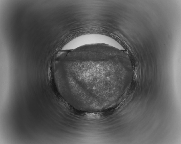 X0000095960520200802081320