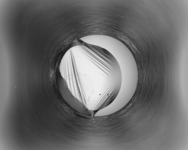 X0000095960521200802081320