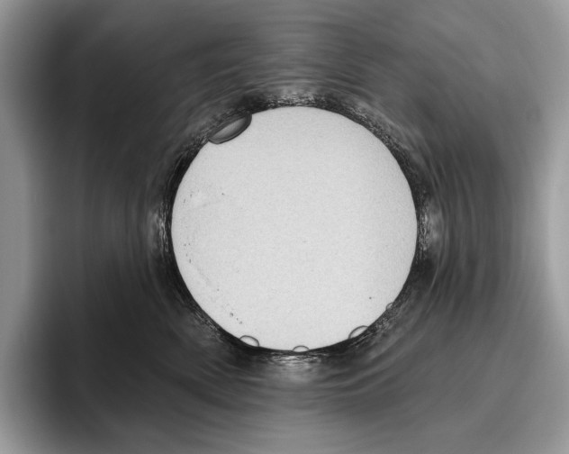 X0000095960522200802081320