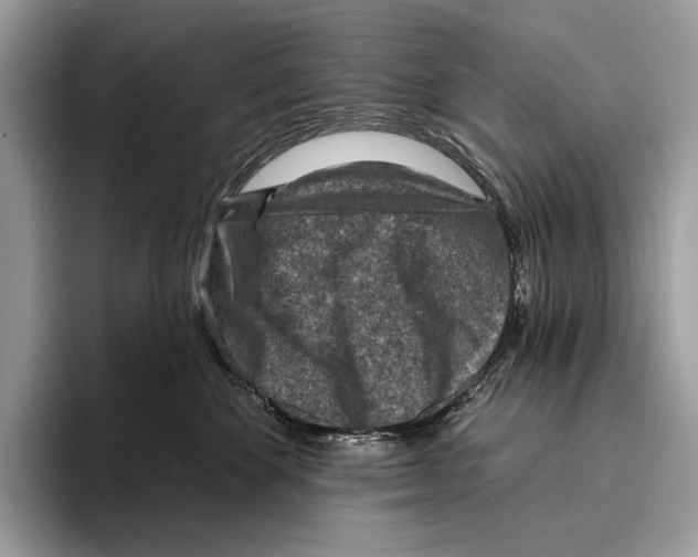 X0000095960524200802081320