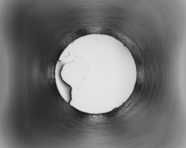 X0000095960525200802081320