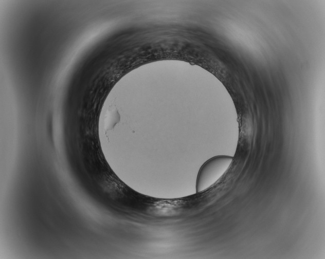 X0000095960526200802081320