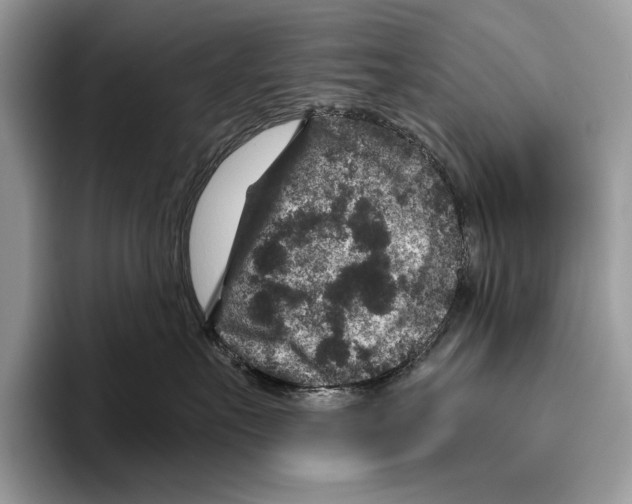 X0000095960527200802081320
