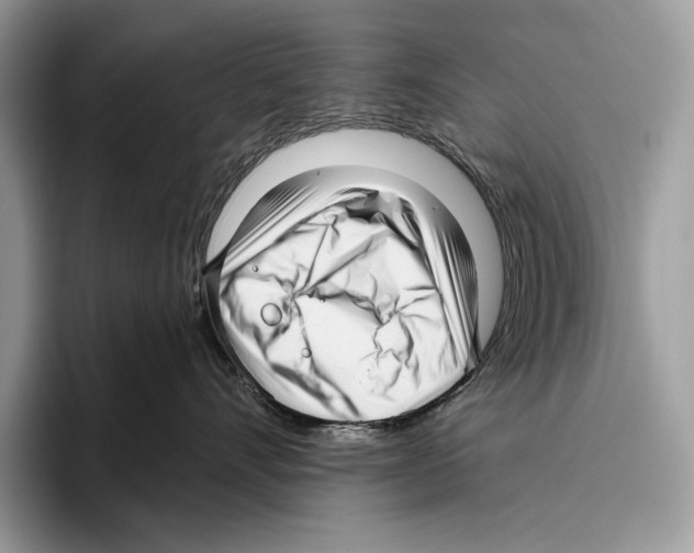 X0000095960528200802081320