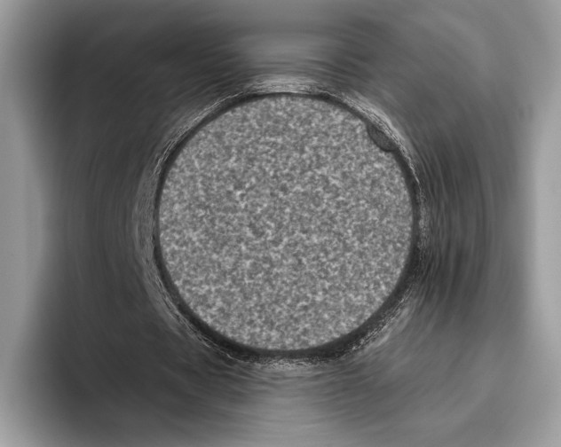 X0000095960529200802081319