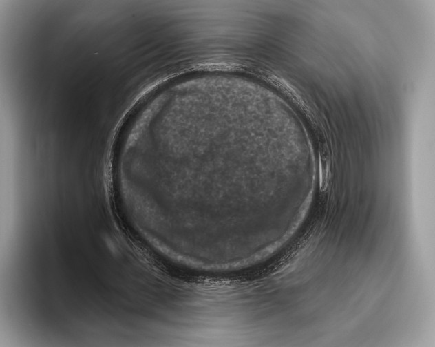 X0000095960531200802081319
