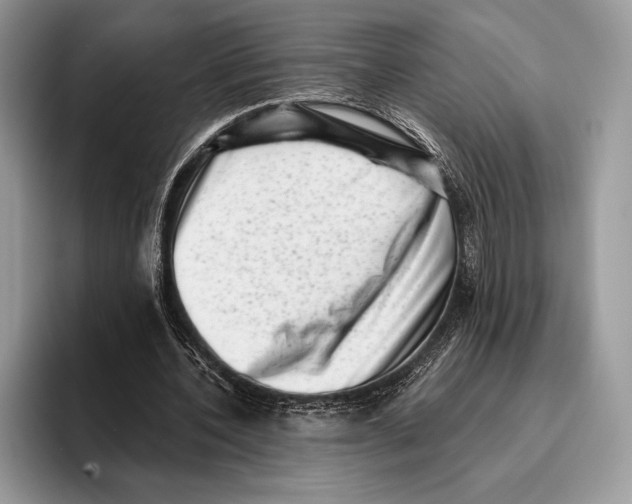 X0000095960532200802081319