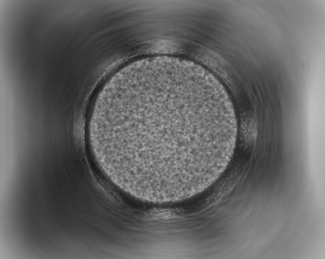 X0000095960534200802081319