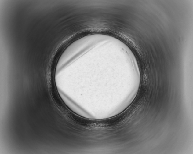 X0000095960535200802081319