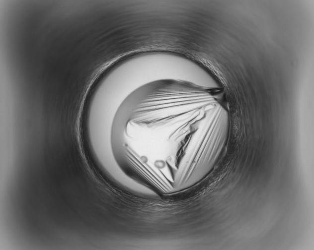 X0000095960536200802081319