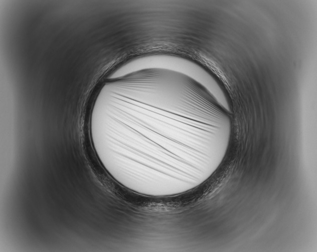 X0000095960538200802081319