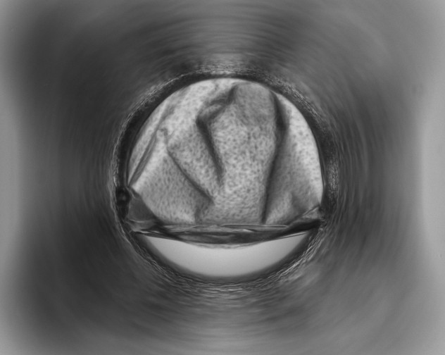 X0000095960540200802081319