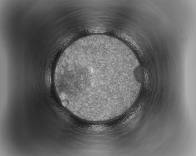 X0000095960541200802081319