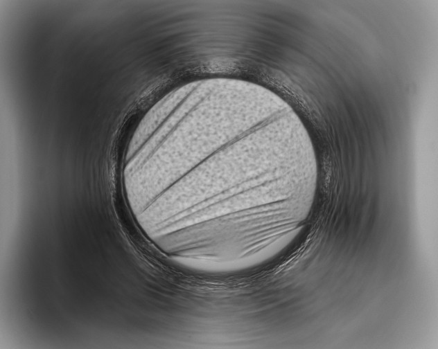 X0000095960542200802081319