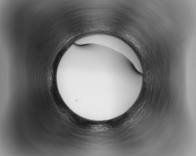 X0000095960544200802081319