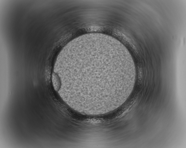 X0000095960545200802081319