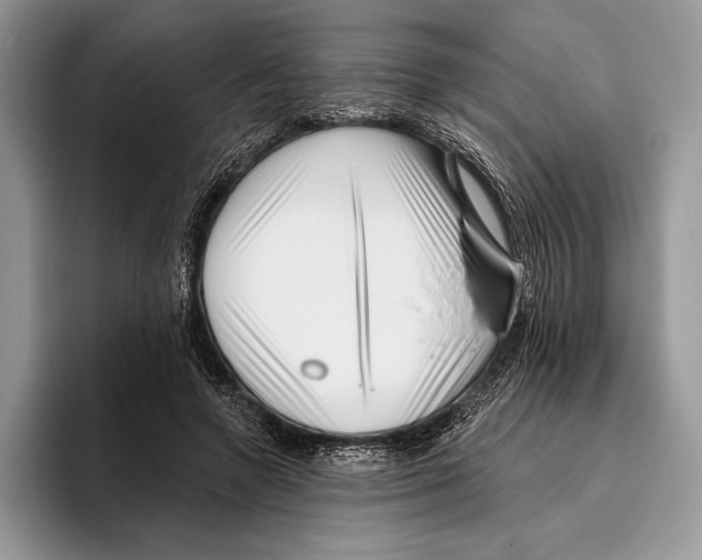 X0000095960546200802081319
