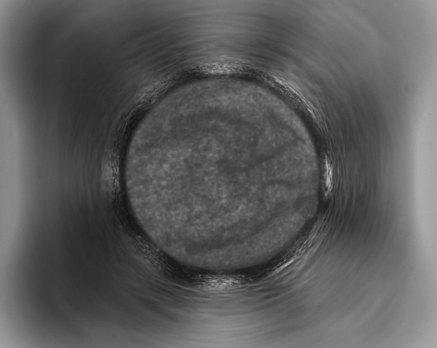 X0000095960547200802081319