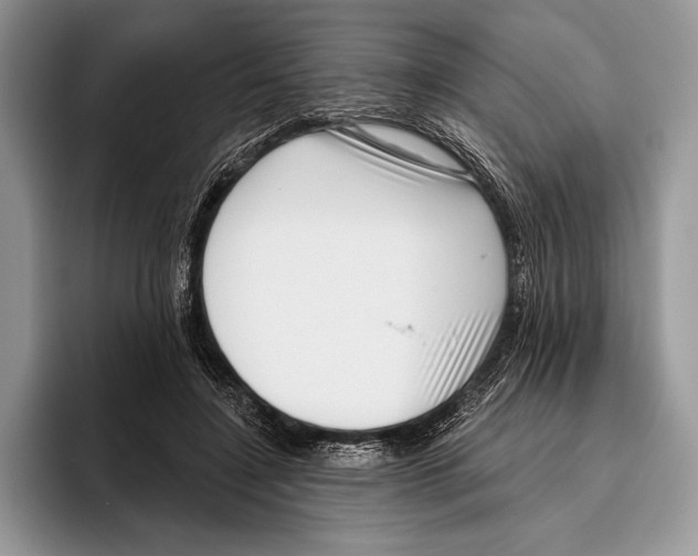 X0000095960548200802081319