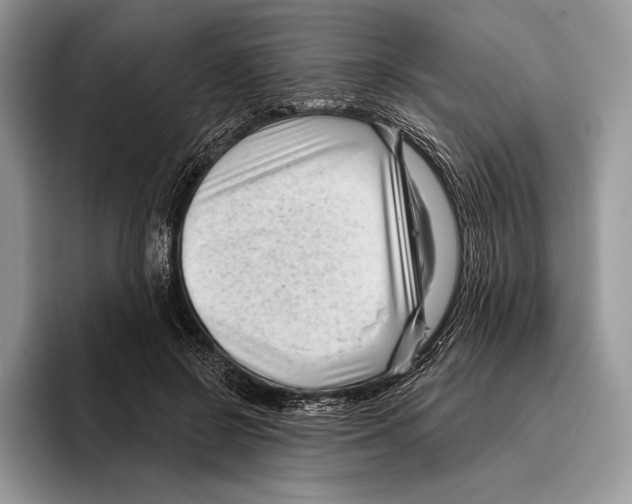 X0000095960550200802081319