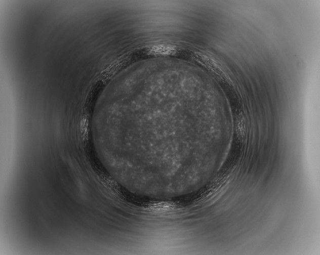 X0000095960551200802081319