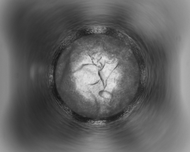X0000095960553200802081319