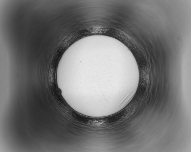 X0000095960554200802081319