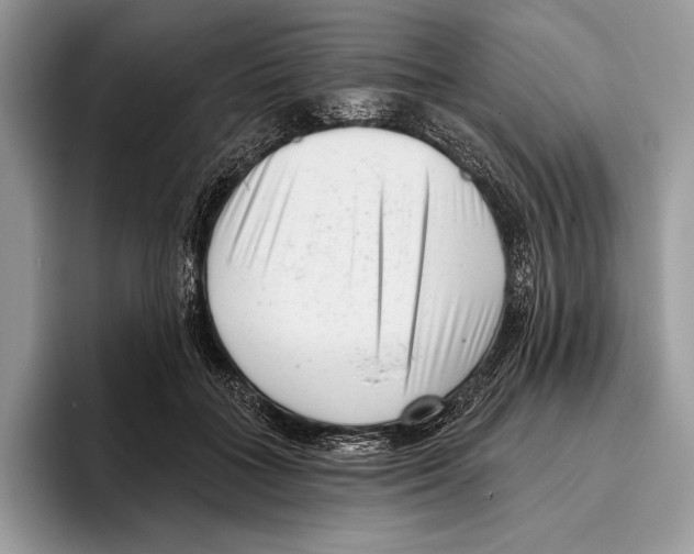 X0000095960555200802081319