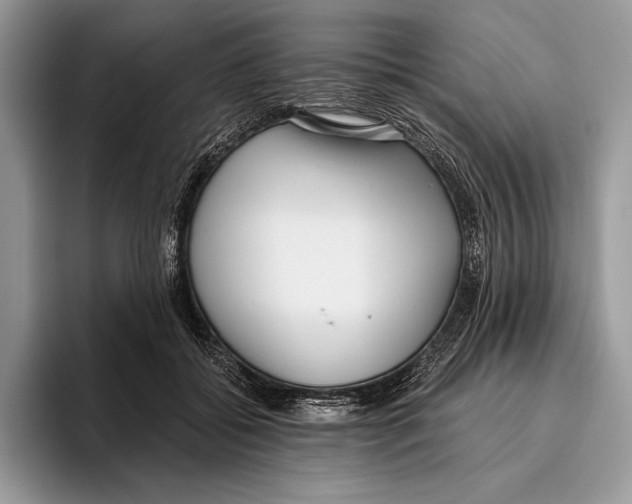 X0000095960556200802081319
