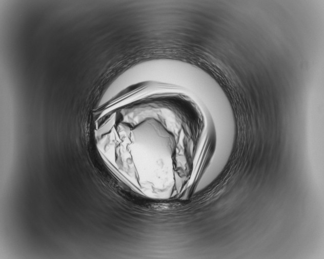 X0000095960558200802081320
