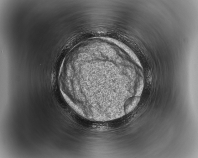 X0000095960559200802081320